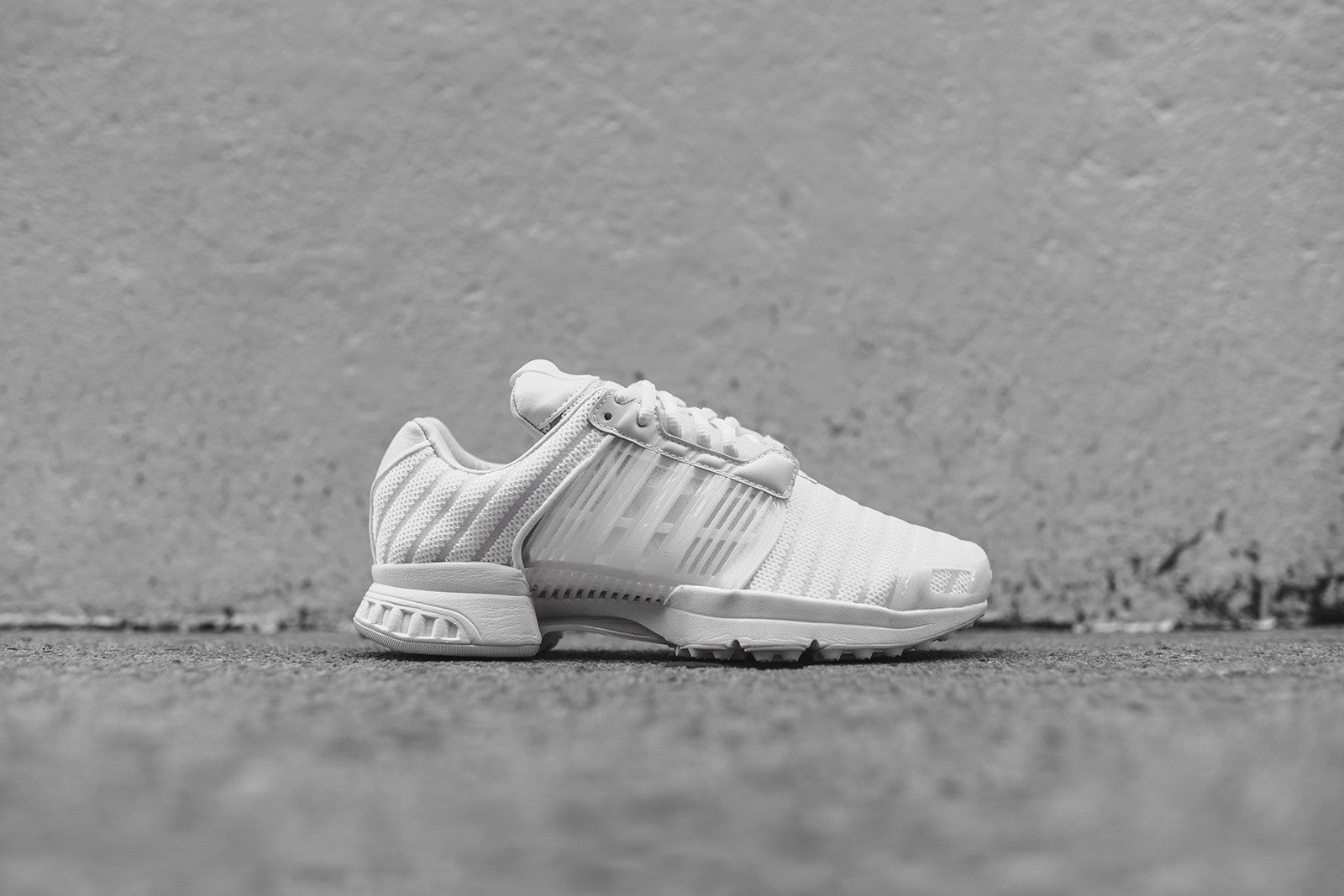 adidas Consortium x Sneakerboy x Wish ClimaCool 1 PK & PureBoost Pack