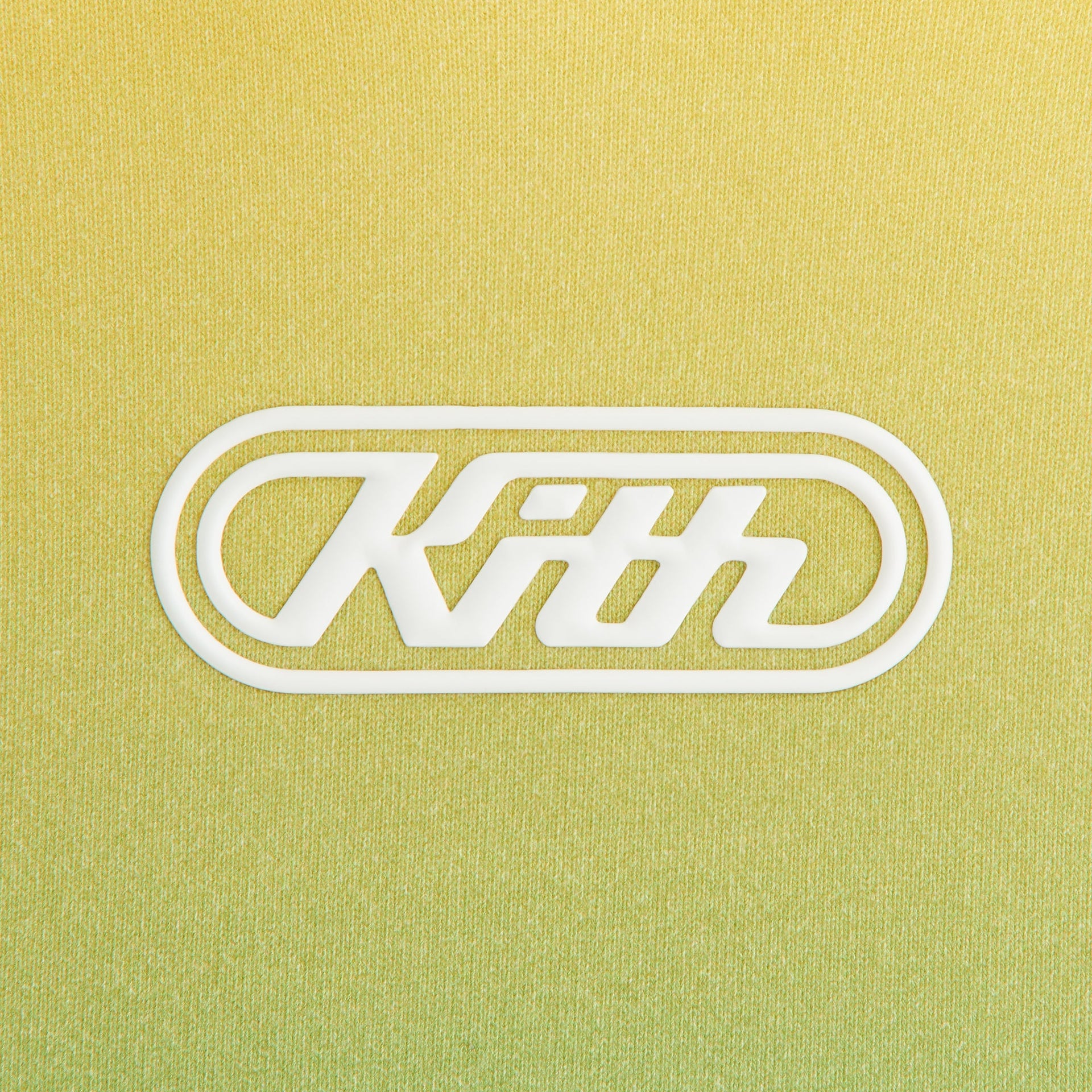 Kith Kids Ombre Nelson Pullover Hoodie - Parrot