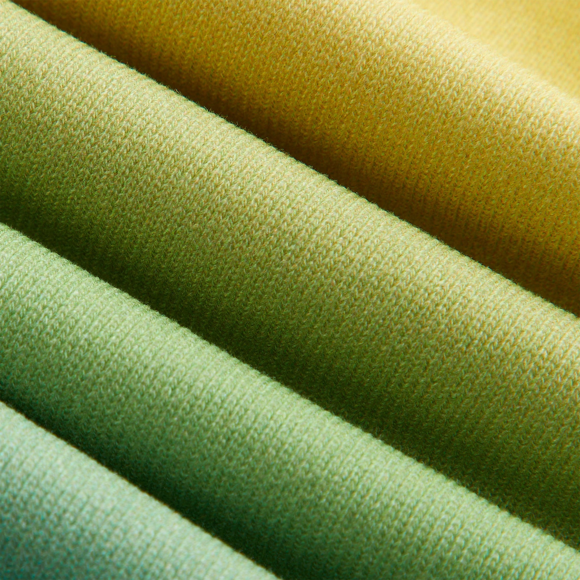 Kith Kids Ombre Liam Short - Parrot