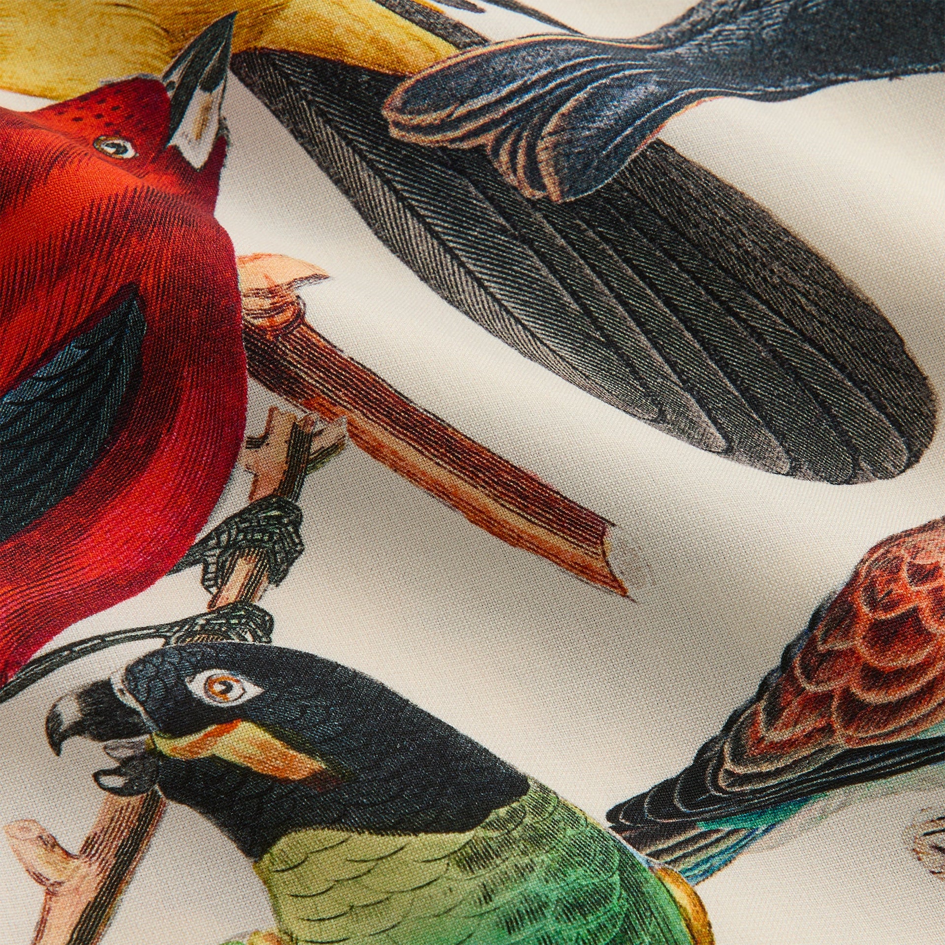 &Kin Tropical Bird Active Short - Sandrift