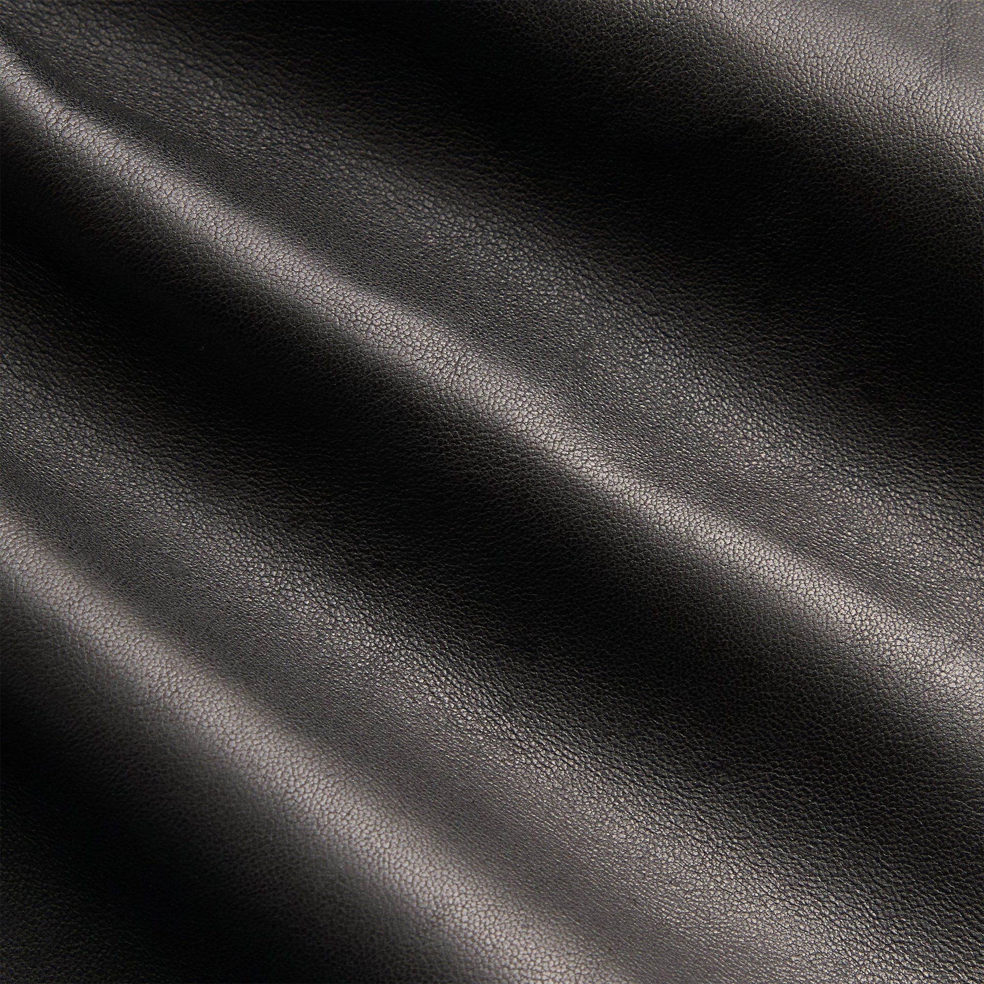 &Kin Irving Combo Leather Moto Pant - Hickory