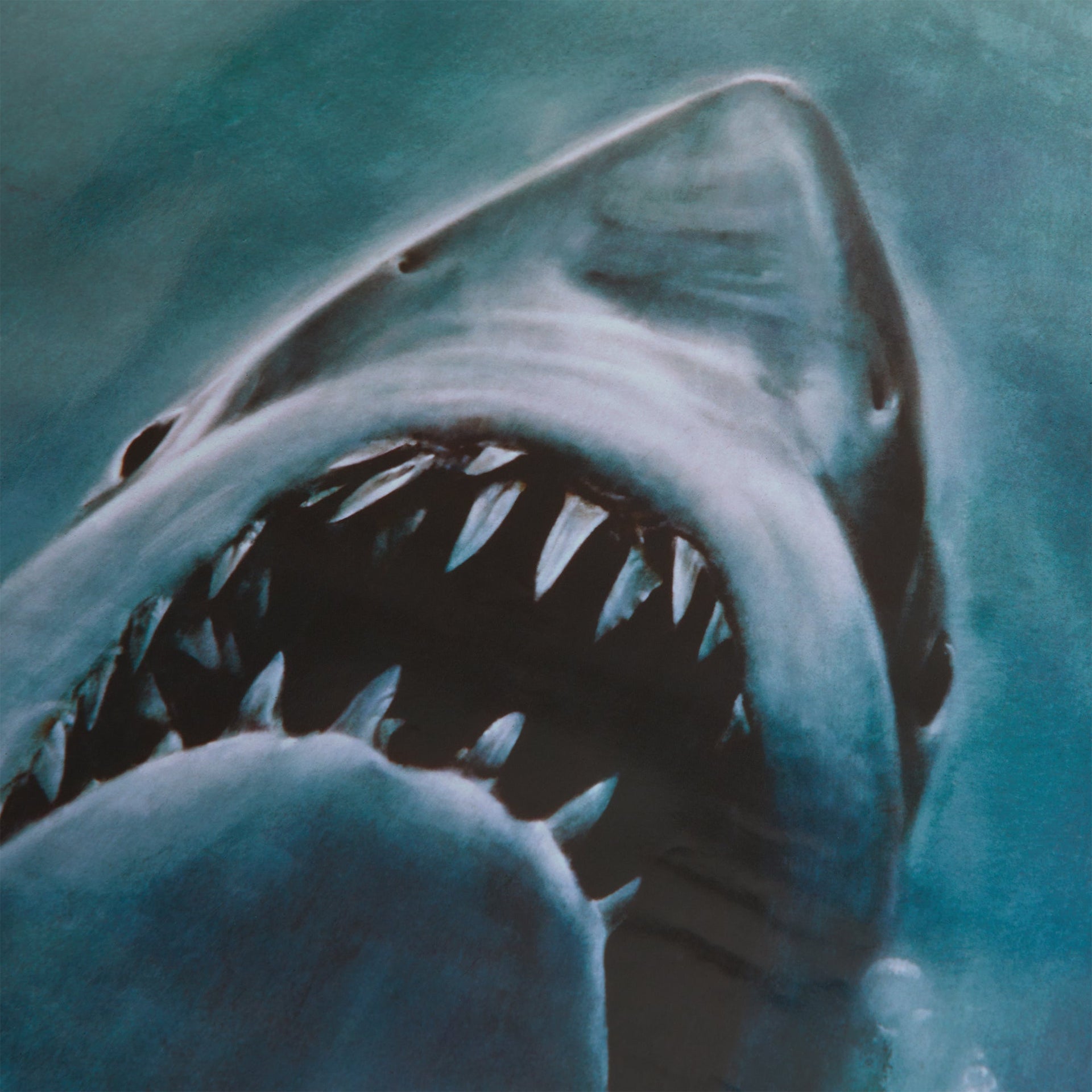 Kith for JAWS Movie Poster - Multi