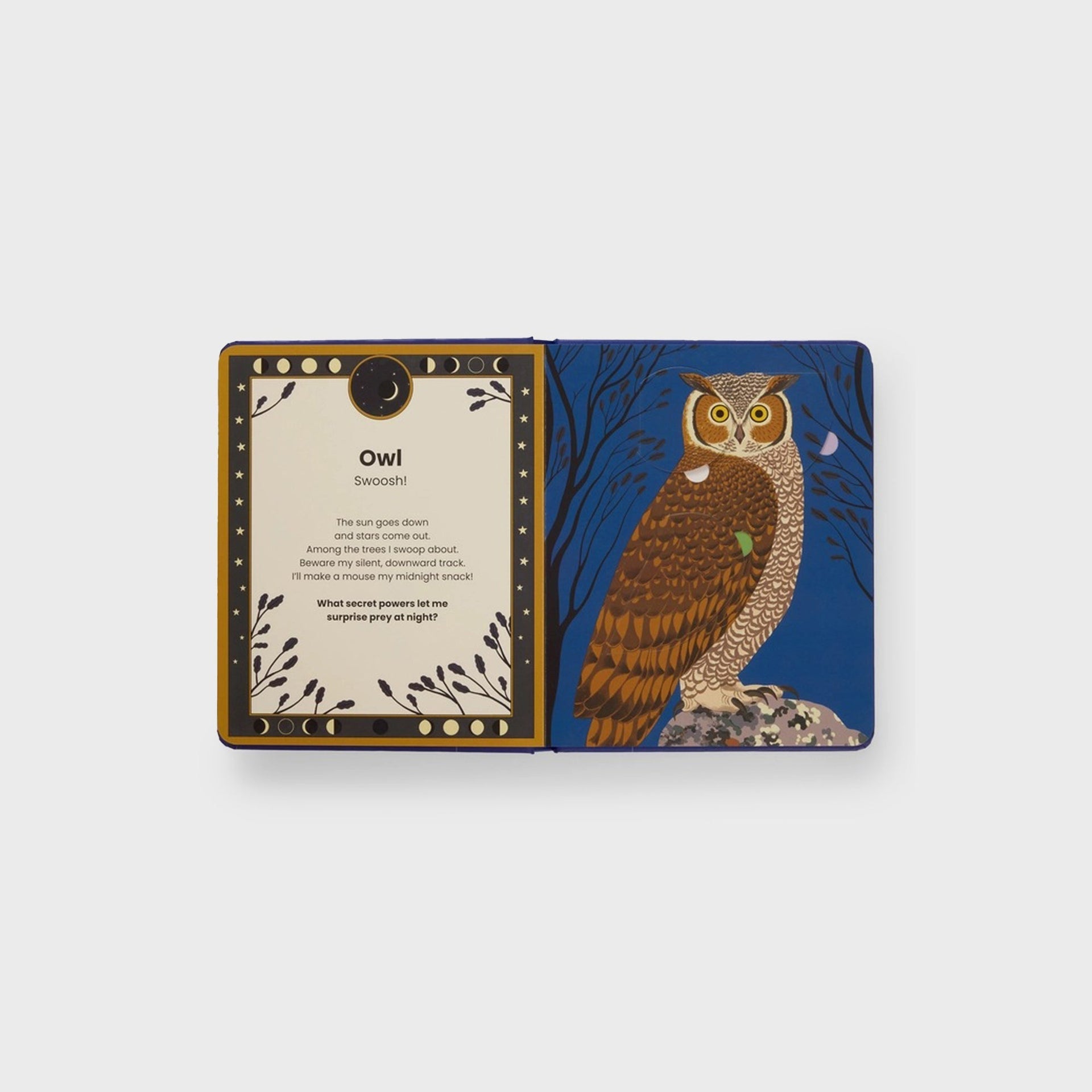 PHAIDON The Secret Powers of Animals