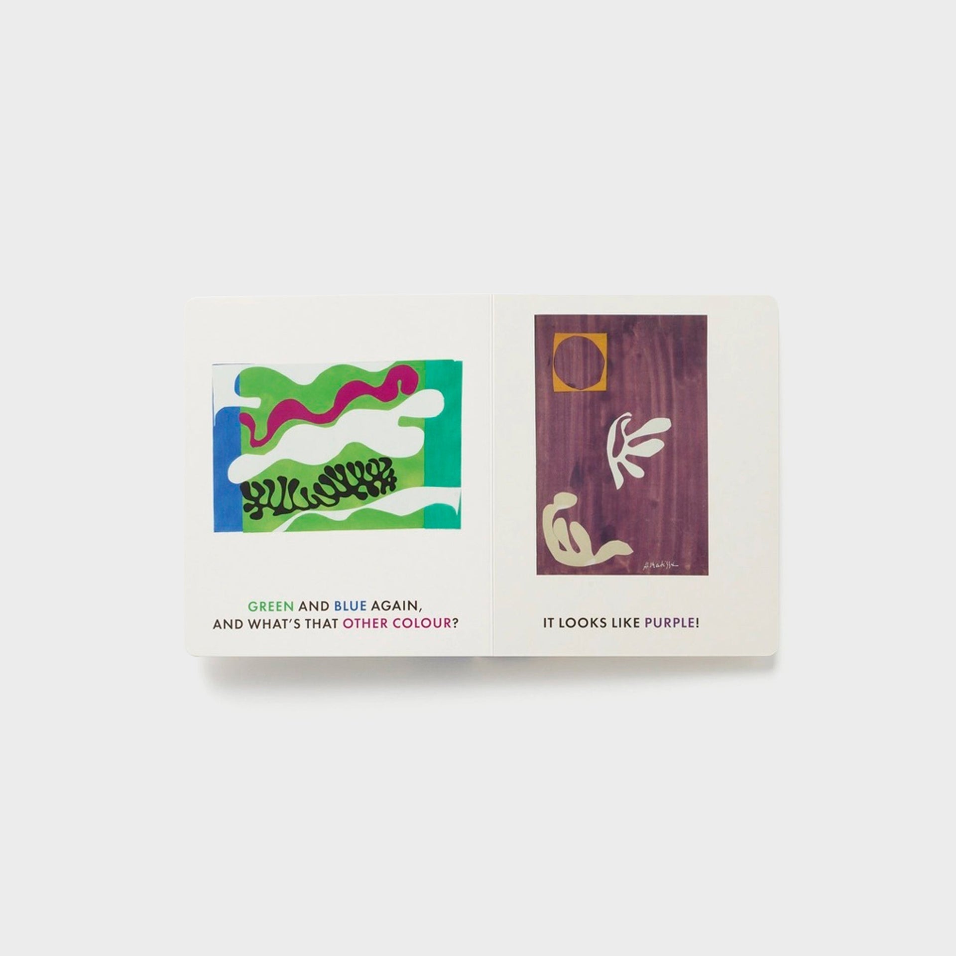 PHAIDON Blue & Other Colors with Henri Matisse